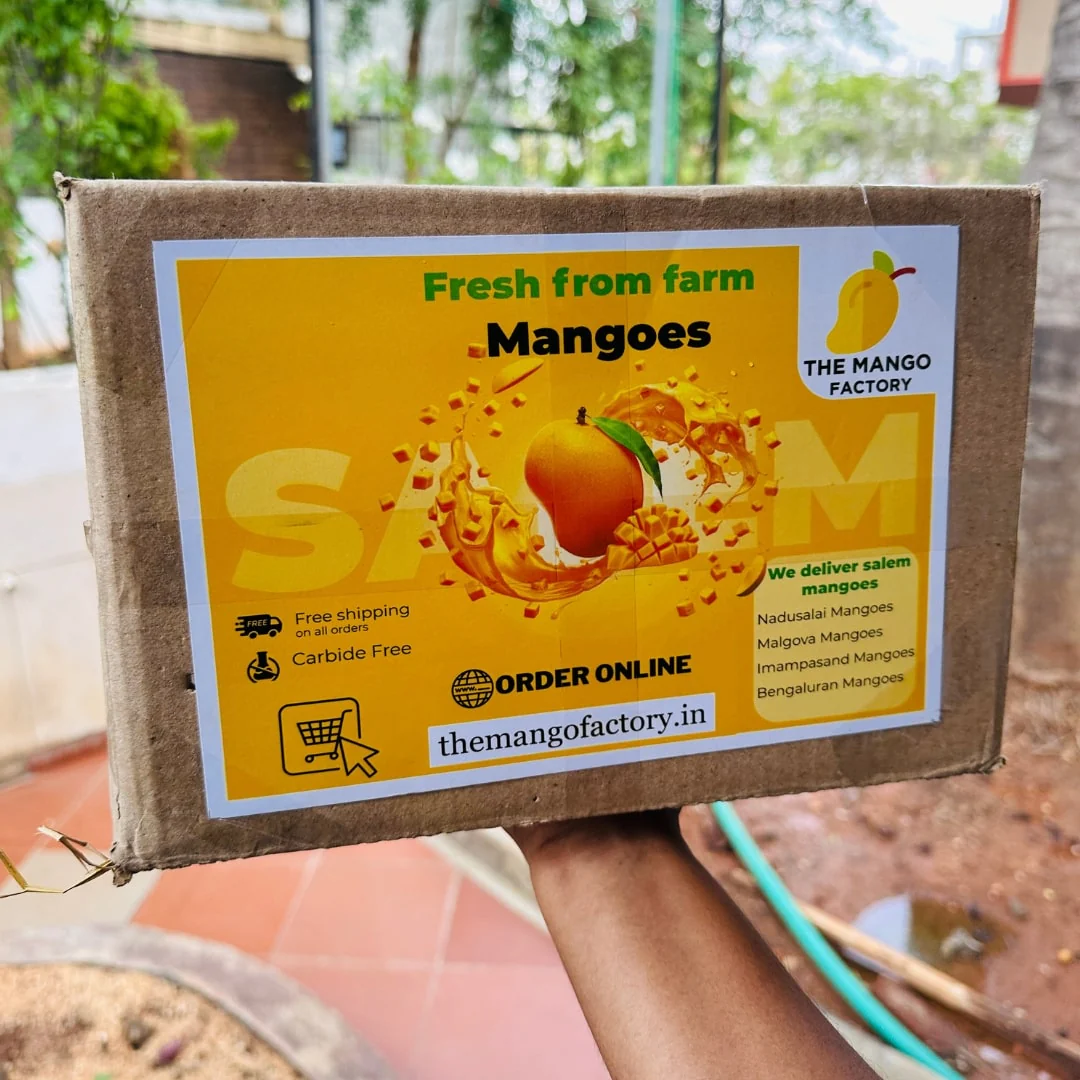 Salem Mangoes 3kg - Image 10