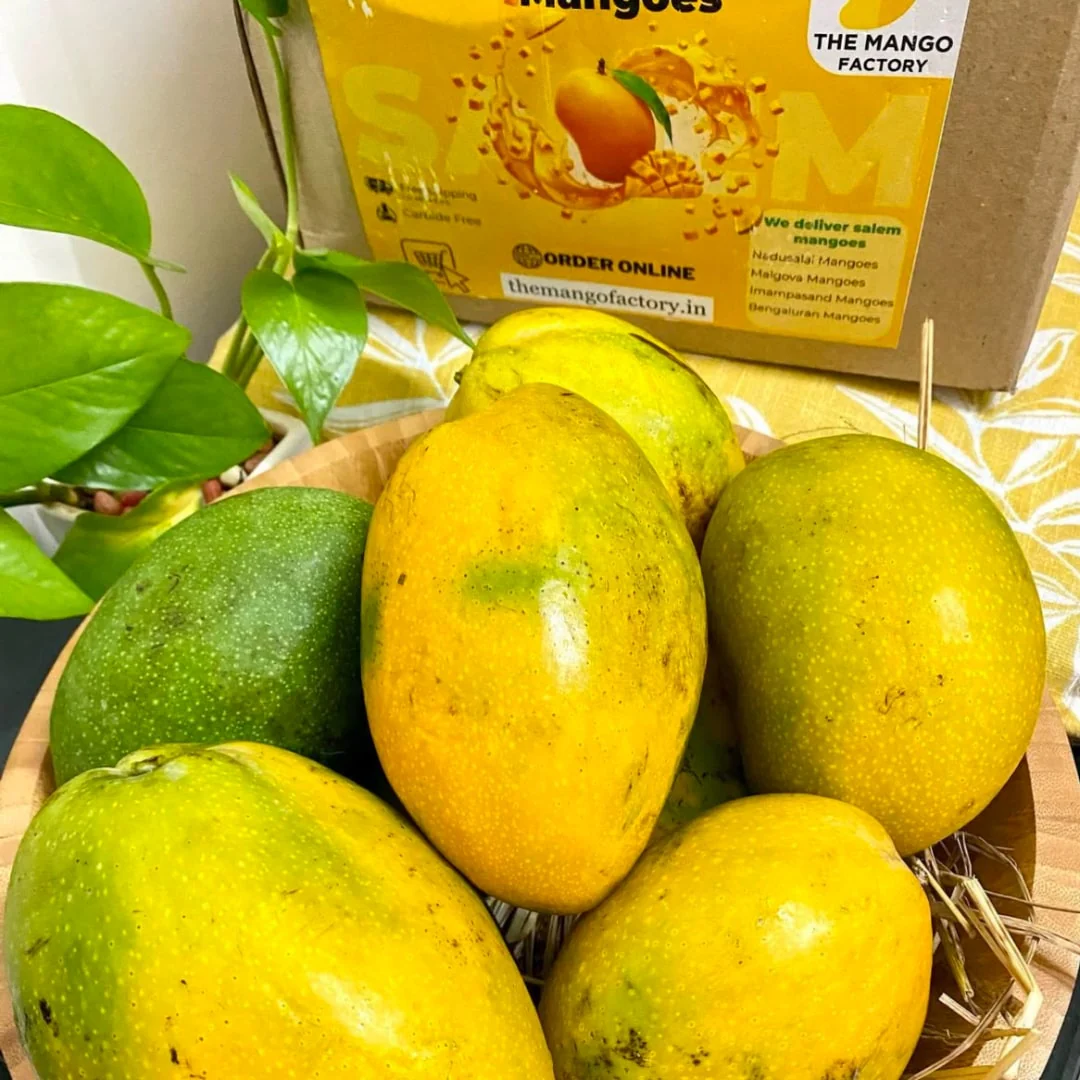 Salem Mangoes 3kg - Image 3