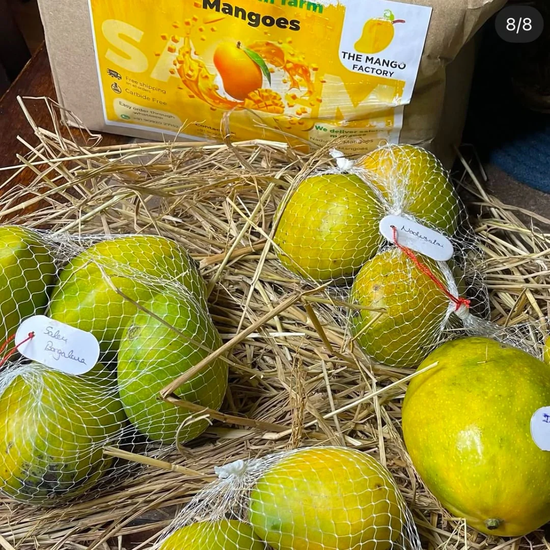 Salem Mangoes 3kg - Image 4