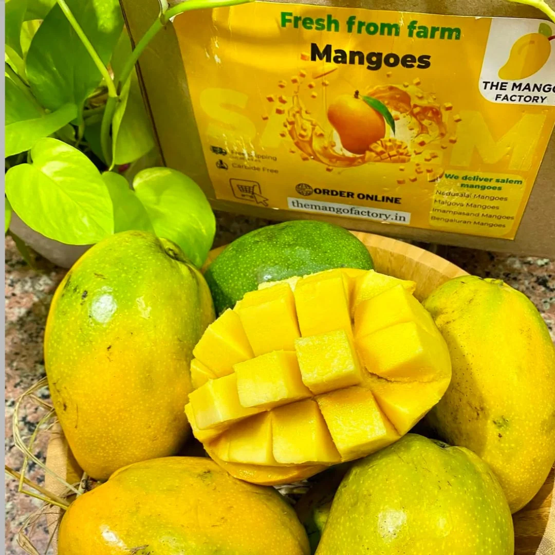 Salem Mangoes 3kg - Image 6
